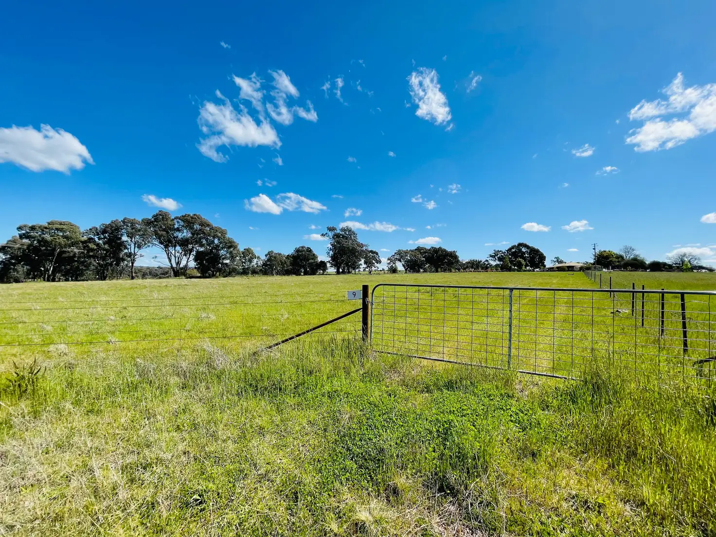 Main view of Homely land listing, 9 Dowling Dr, Murringo via, Young NSW 2594