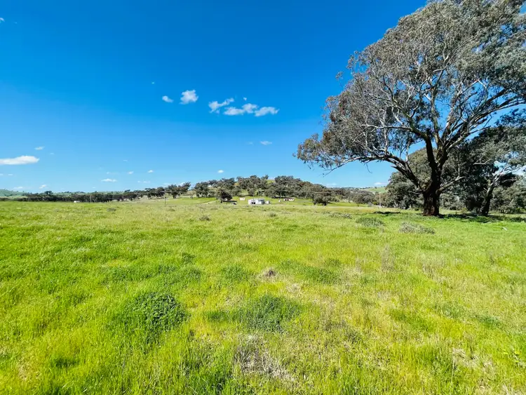 Seventh view of Homely land listing, 9 Dowling Dr, Murringo via, Young NSW 2594