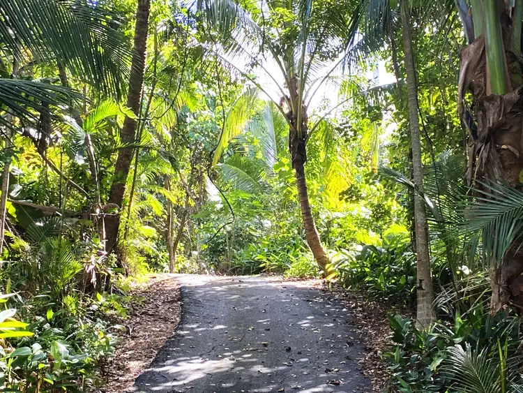 Fifth view of Homely house listing, 1A Cutten Street, Bingil Bay QLD 4852
