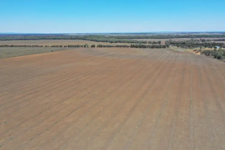 Second view of Homely rural property listing, 'Avoca' - Bears Lagoon Road,, Moura QLD 4718