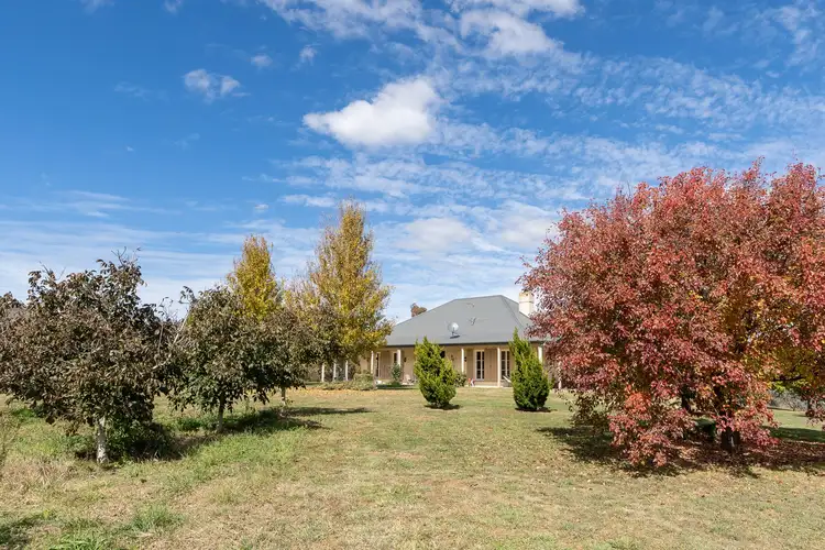 Fourth view of Homely rural property listing, 266 Todds Road, Wisemans Creek NSW 2795