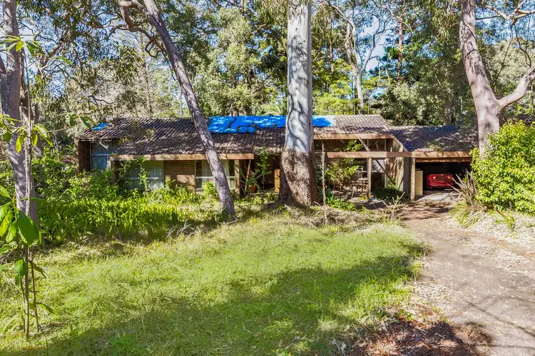 55 Hull Road, Beecroft NSW 2119