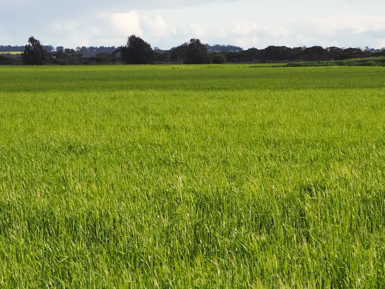 Second view of Homely rural property listing, Karinya Newton Road, Cranbrook WA 6321