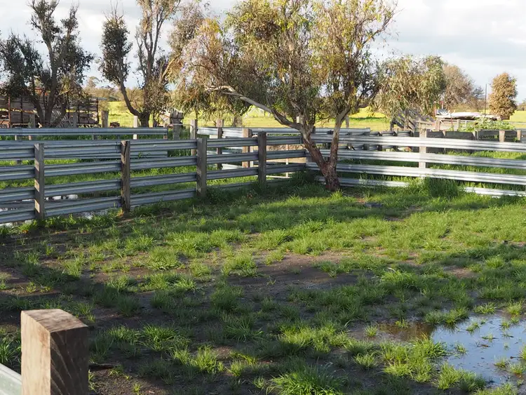 Fifth view of Homely rural property listing, Karinya Newton Road, Cranbrook WA 6321