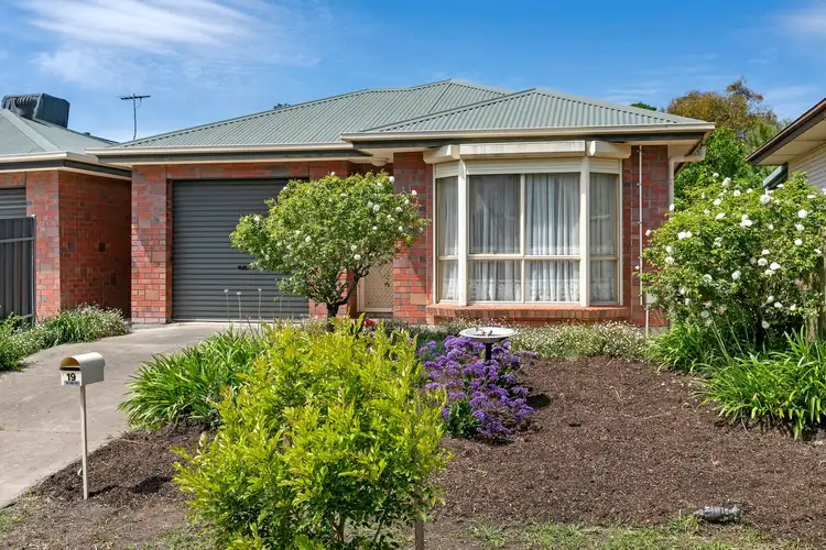 19 Ashley Avenue, Ridgehaven SA 5097