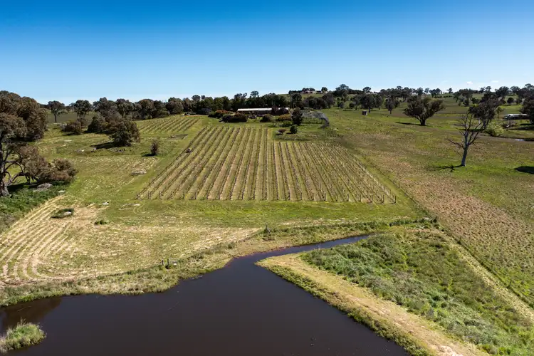 Second view of Homely rural property listing, 37 Goldfields Lane, Murrumbateman NSW 2582