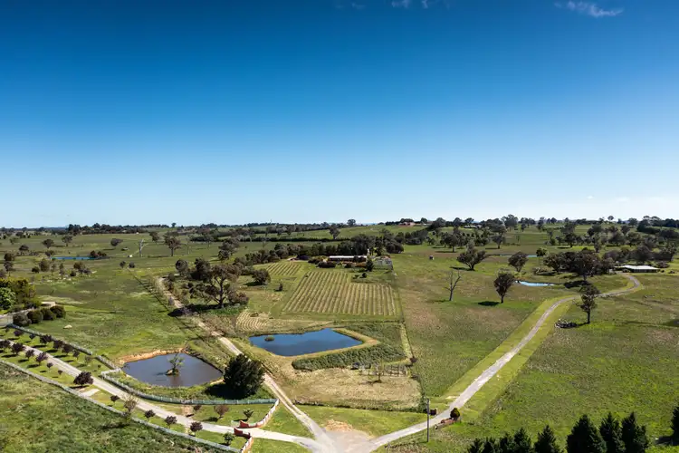 Third view of Homely rural property listing, 37 Goldfields Lane, Murrumbateman NSW 2582