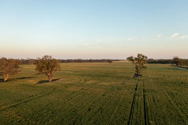 Seventh view of Homely rural property listing, 2506 Goonal Road, Bullarah NSW 2400