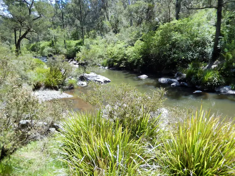 Third view of Homely land listing, 145 Moonpar Road, Bostobrick NSW 2453