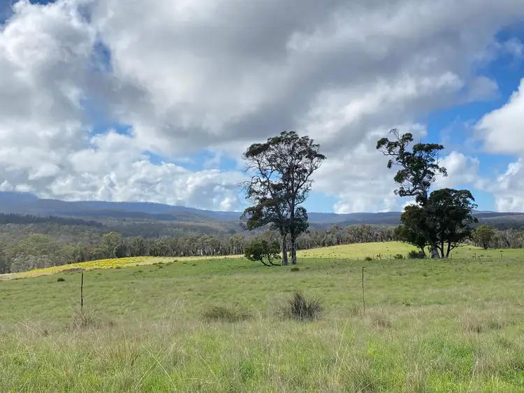 Fourth view of Homely rural property listing, 182 Crags Road, Nerriga NSW 2622