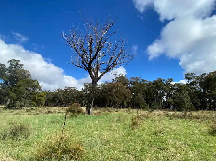 Fifth view of Homely rural property listing, 182 Crags Road, Nerriga NSW 2622