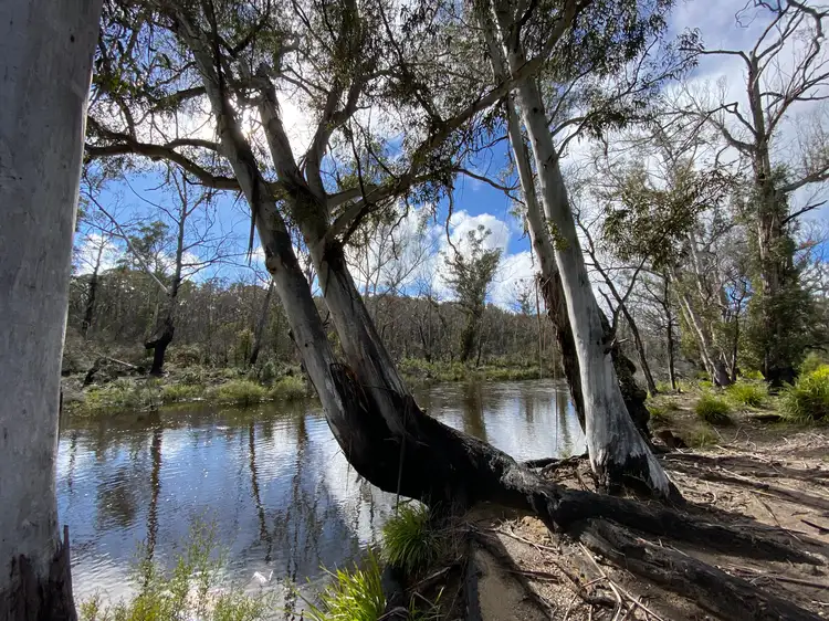 Sixth view of Homely rural property listing, 182 Crags Road, Nerriga NSW 2622