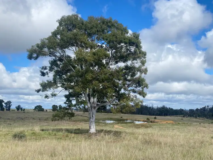 Seventh view of Homely rural property listing, 182 Crags Road, Nerriga NSW 2622