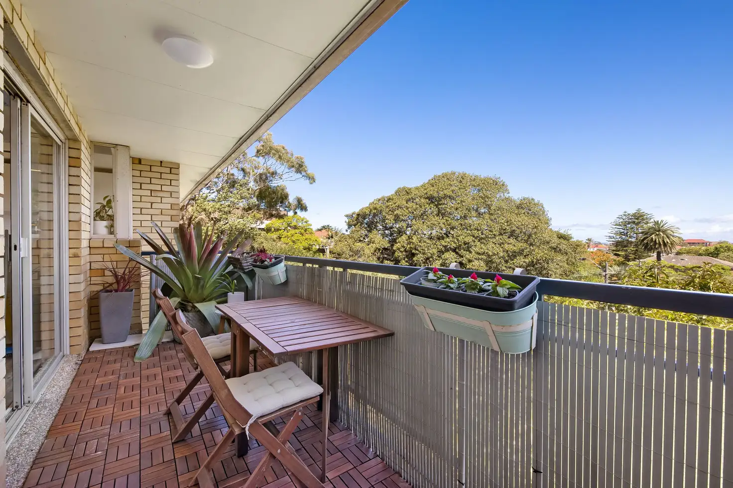 Main view of Homely apartment listing, 7/47 Albion Street, Waverley NSW 2024
