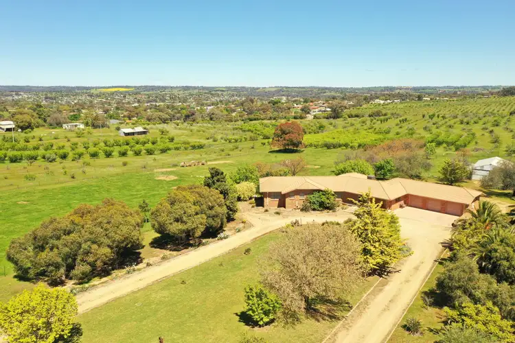 109 Hills Street, Young NSW 2594