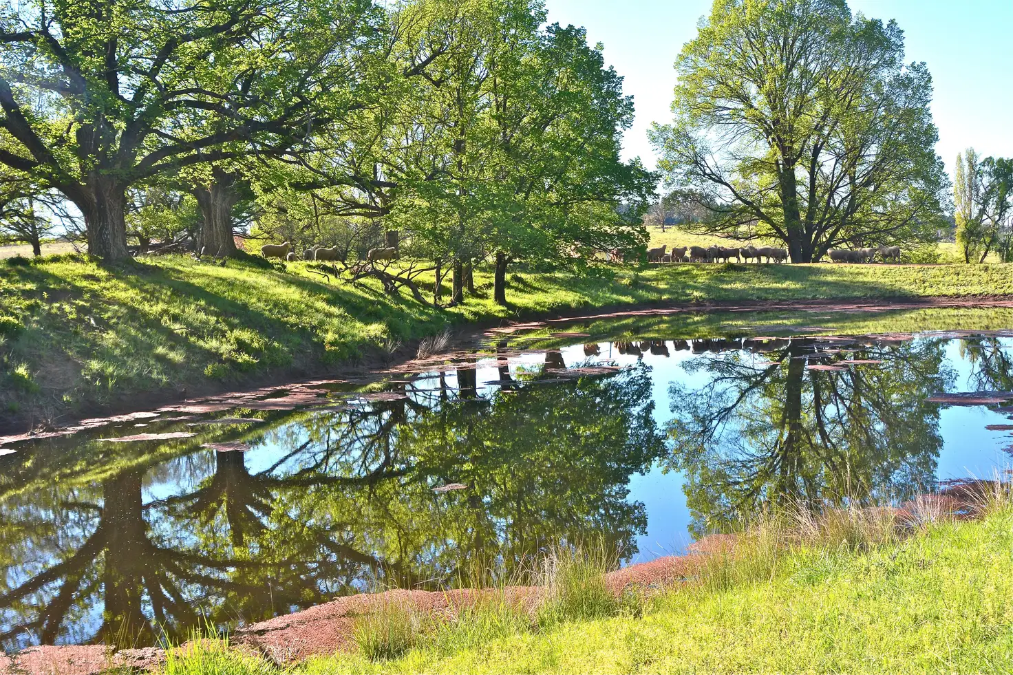 Main view of Homely rural property listing, 99 Heatherston Road, Armidale NSW 2350