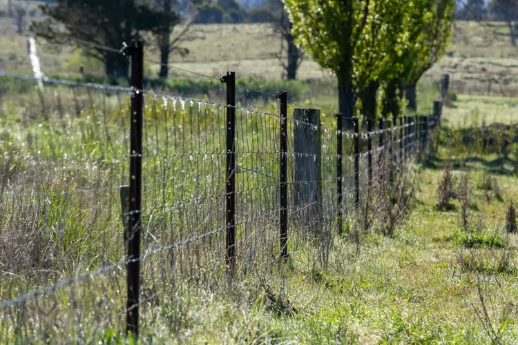 Seventh view of Homely rural property listing, 99 Heatherston Road, Armidale NSW 2350