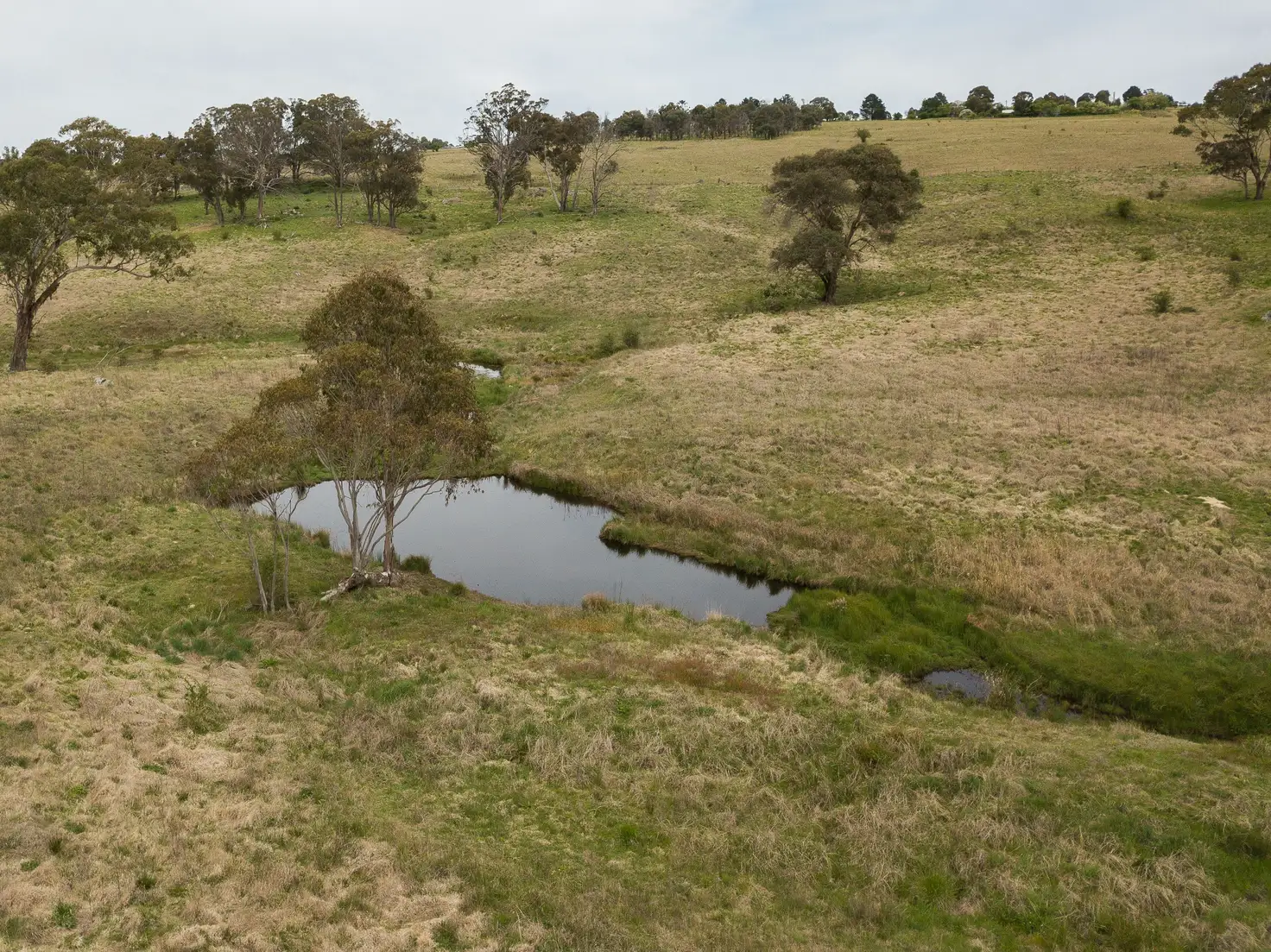 Main view of Homely rural property listing, 67 Long Point Road, Armidale NSW 2350