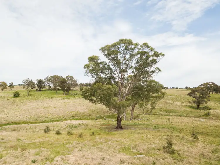 Fourth view of Homely rural property listing, 67 Long Point Road, Armidale NSW 2350