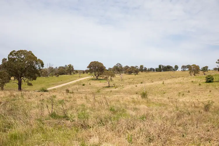 Seventh view of Homely rural property listing, 67 Long Point Road, Armidale NSW 2350