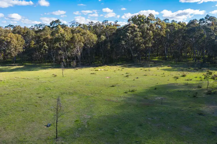 Seventh view of Homely rural property listing, 2-3775 Emmaville Road, Emmaville NSW 2371