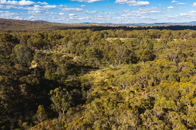 3775 Emmaville Road, Emmaville NSW 2371