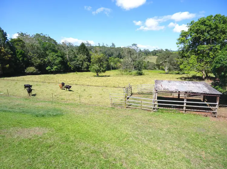 Second view of Homely rural property listing, 198 Ball Road, Peeramon QLD 4885