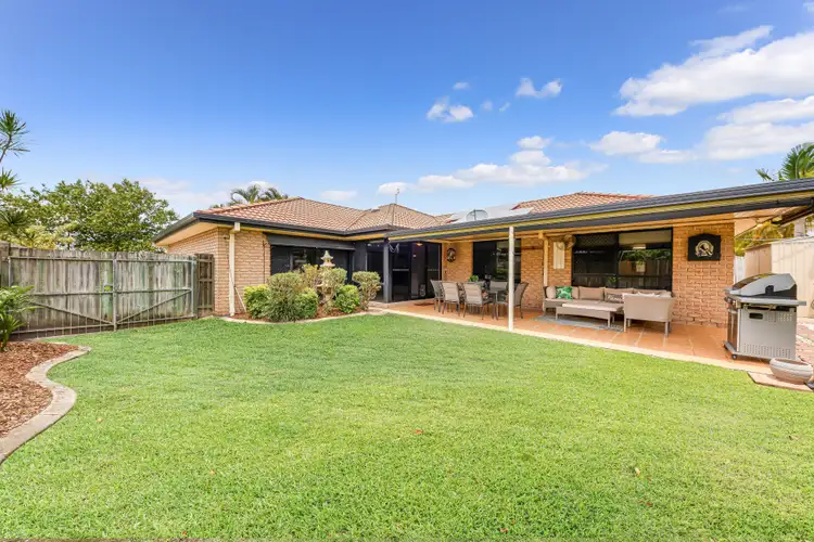 Main view of Homely house listing, 8 Quillback Court, Mountain Creek QLD 4557