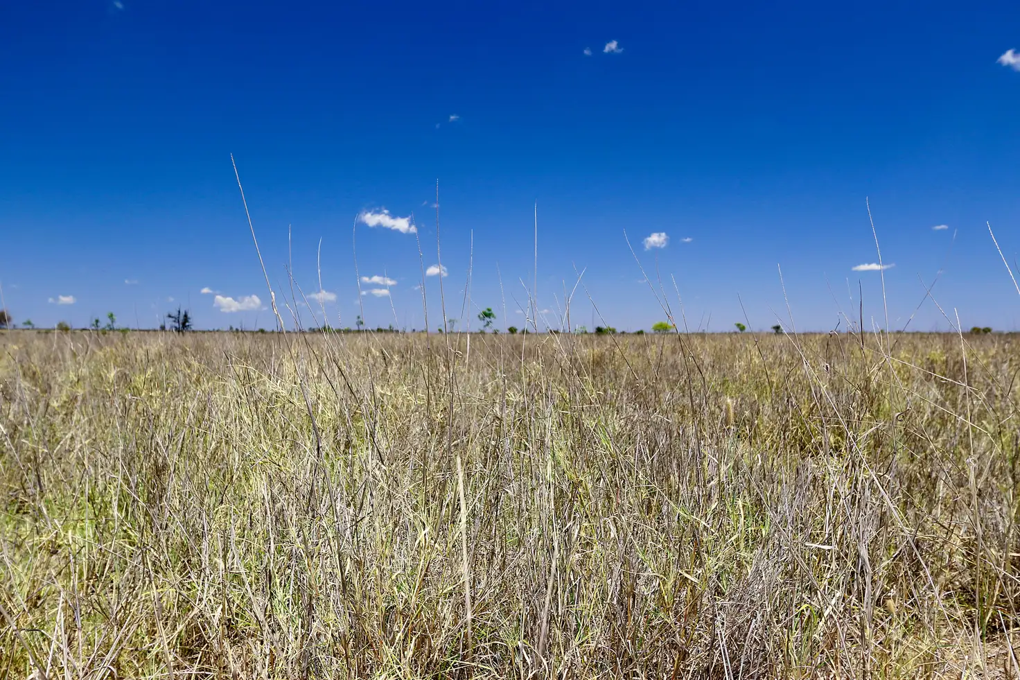 Main view of Homely rural property listing, 7196 FITZROY DEVELOPMENTAL Road, Bingegang QLD 4702