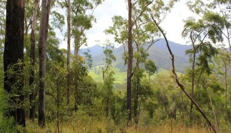 Main view of Homely rural property listing, lot 95 Kennaicle Road, Missabotti NSW 2449
