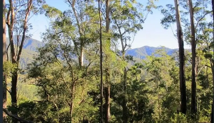 Sixth view of Homely rural property listing, lot 95 Kennaicle Road, Missabotti NSW 2449