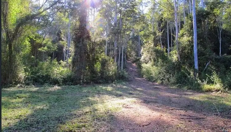 Seventh view of Homely rural property listing, lot 95 Kennaicle Road, Missabotti NSW 2449