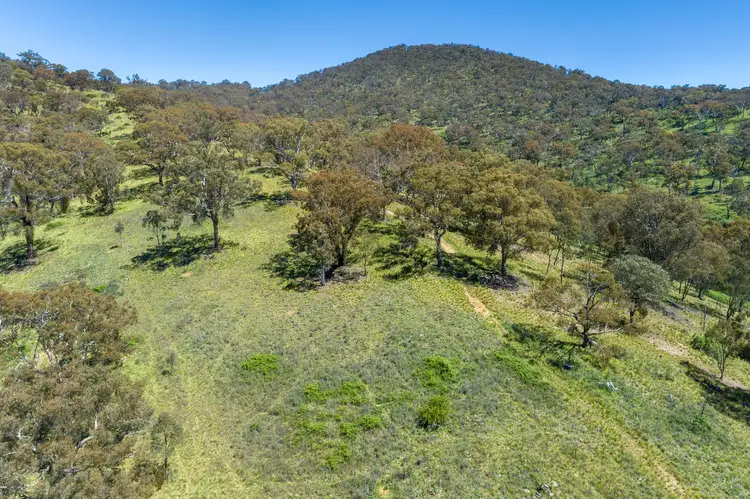 Third view of Homely rural property listing, 2315 Beaconsfield Road, Wisemans Creek NSW 2795