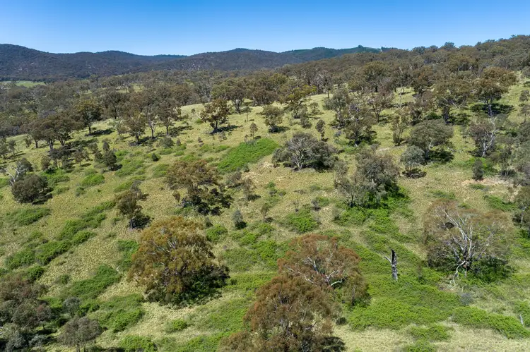 Fourth view of Homely rural property listing, 2315 Beaconsfield Road, Wisemans Creek NSW 2795