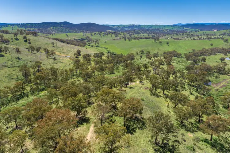 Fifth view of Homely rural property listing, 2315 Beaconsfield Road, Wisemans Creek NSW 2795