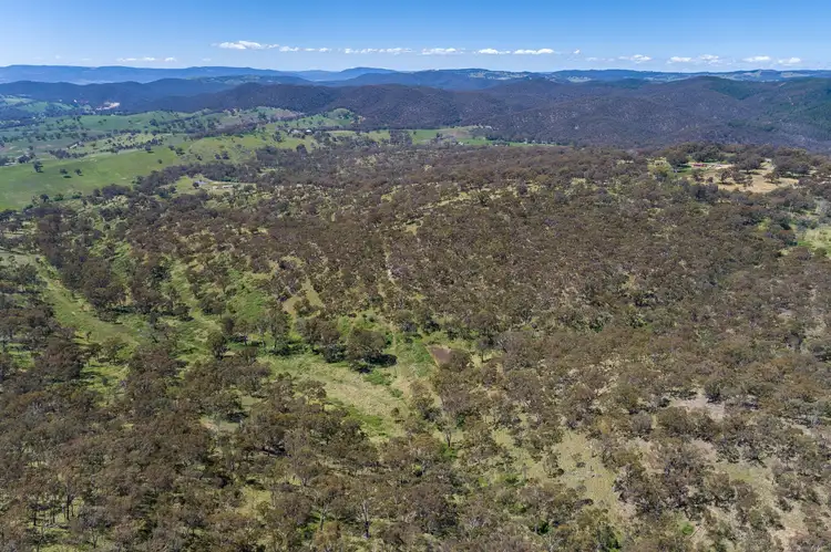Seventh view of Homely rural property listing, 2315 Beaconsfield Road, Wisemans Creek NSW 2795