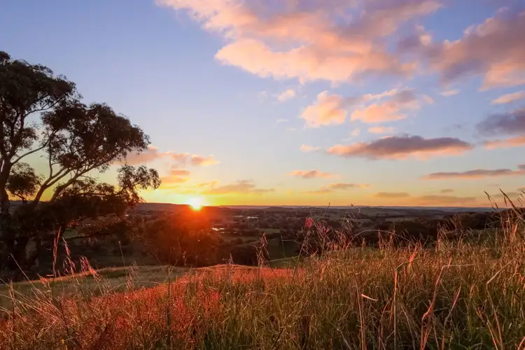 Second view of Homely rural property listing, 272 Boree Lane, Orange NSW 2800