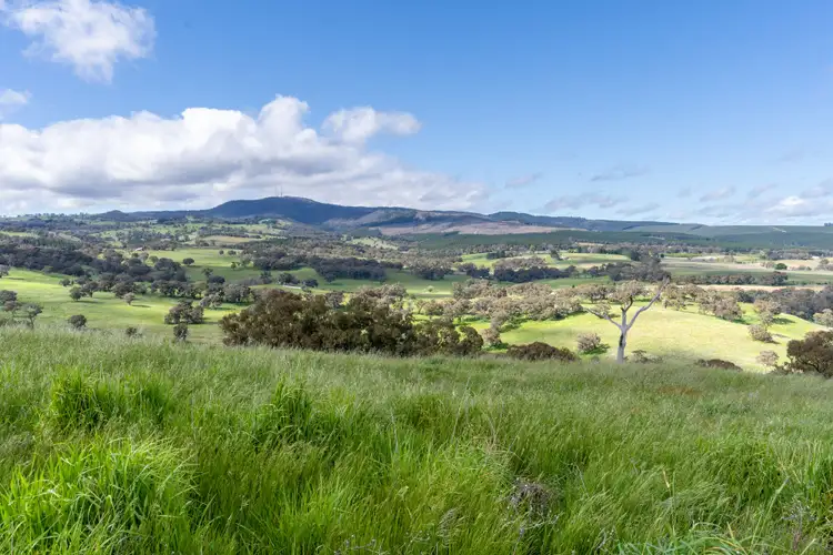 Third view of Homely rural property listing, 272 Boree Lane, Orange NSW 2800