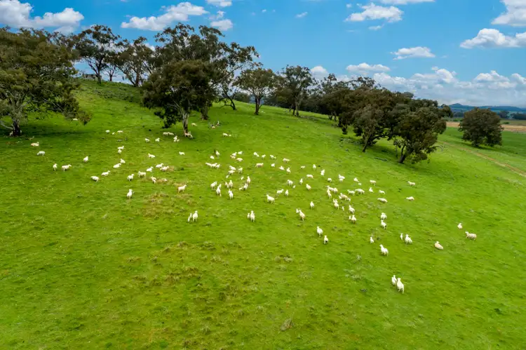Sixth view of Homely rural property listing, 272 Boree Lane, Orange NSW 2800