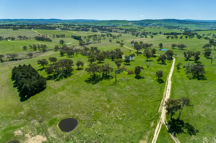 Main view of Homely rural property listing, 'Hollis Park' Hollis Lane, Perthville NSW 2795