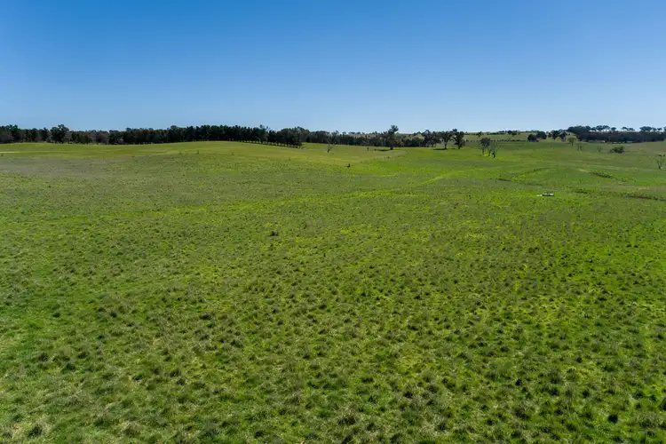 Third view of Homely rural property listing, 'Hollis Park' Hollis Lane, Perthville NSW 2795