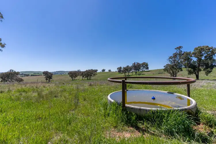 Seventh view of Homely rural property listing, 'Hollis Park' Hollis Lane, Perthville NSW 2795