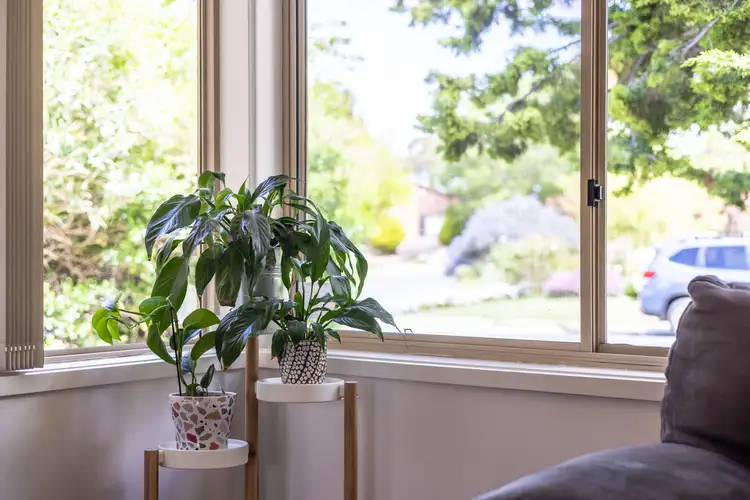 Sixth view of Homely house listing, 7A Summerville Crescent, Florey ACT 2615