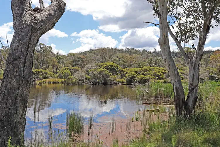 Third view of Homely rural property listing, 27144 New England Highway, Glen Aplin QLD 4381