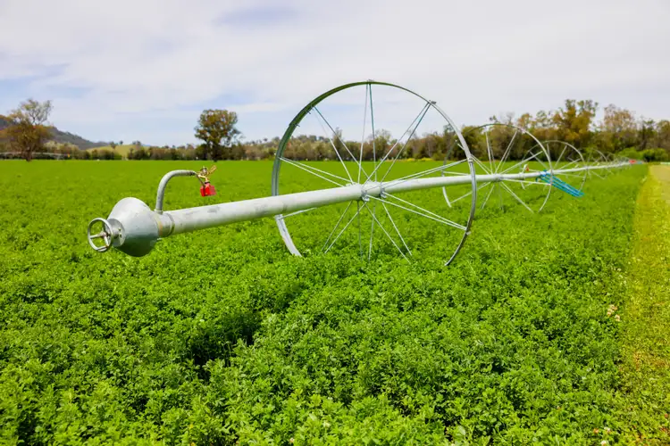 Sixth view of Homely rural property listing, 'Peel River Park' 931 Nundle Road, Tamworth NSW 2340