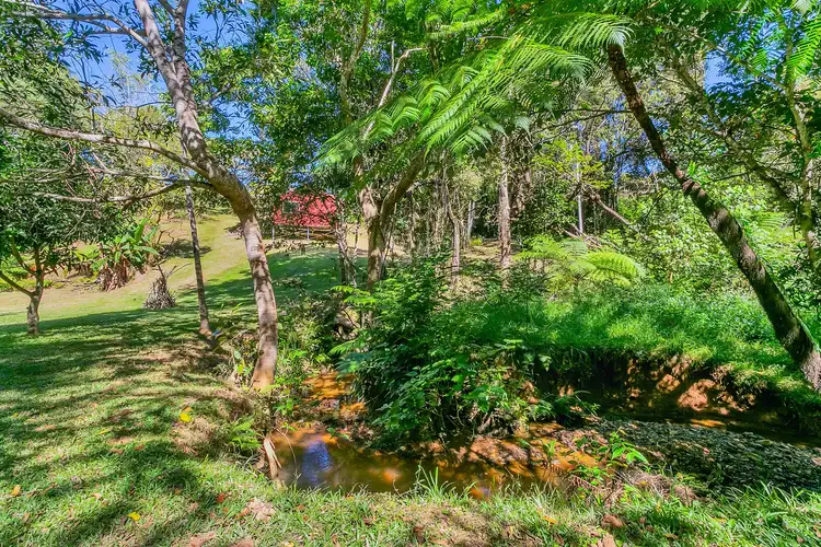 Sixth view of Homely house listing, 40 Williamson Drive, Kuranda QLD 4881