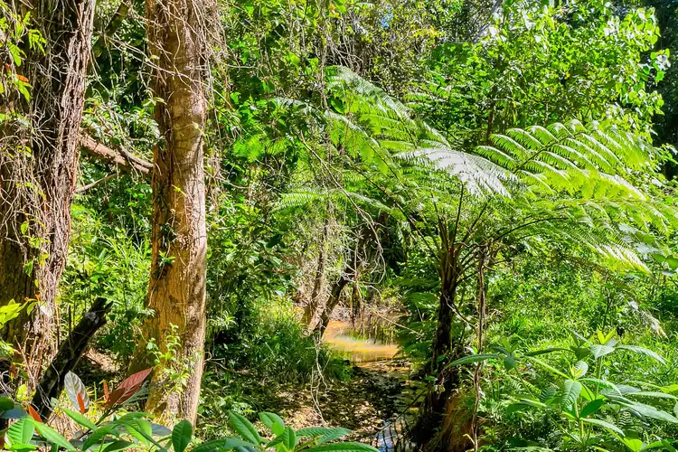 Seventh view of Homely house listing, 40 Williamson Drive, Kuranda QLD 4881