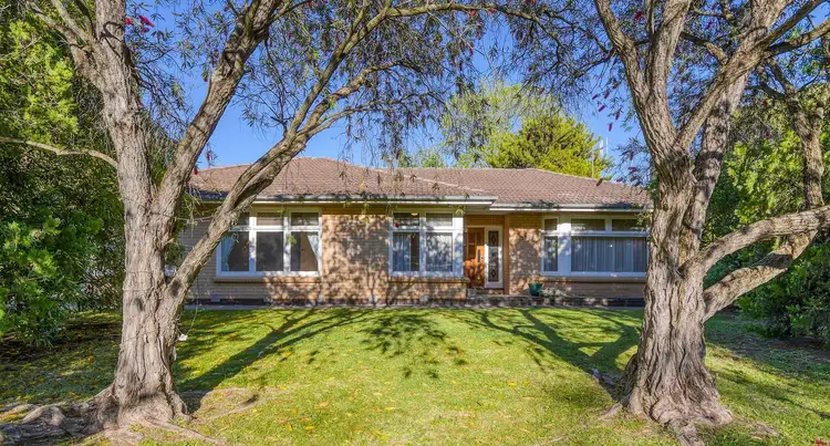Second view of Homely house listing, 387 High Street, Nagambie VIC 3608