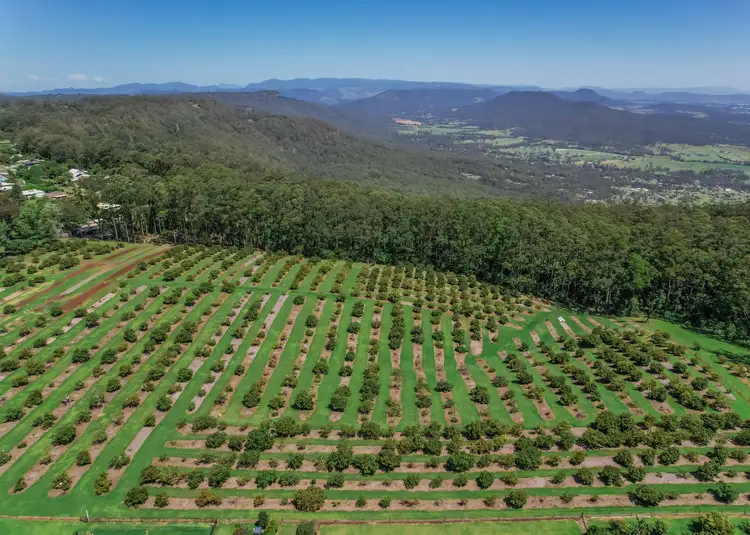 LOT 7, 8 & 9, 41-43 Manitzky Road, Tamborine Mountain QLD 4272