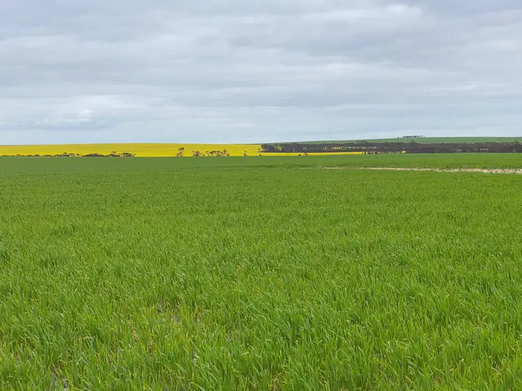 Second view of Homely rural property listing, Hiview Steele Road, Pingrup WA 6343